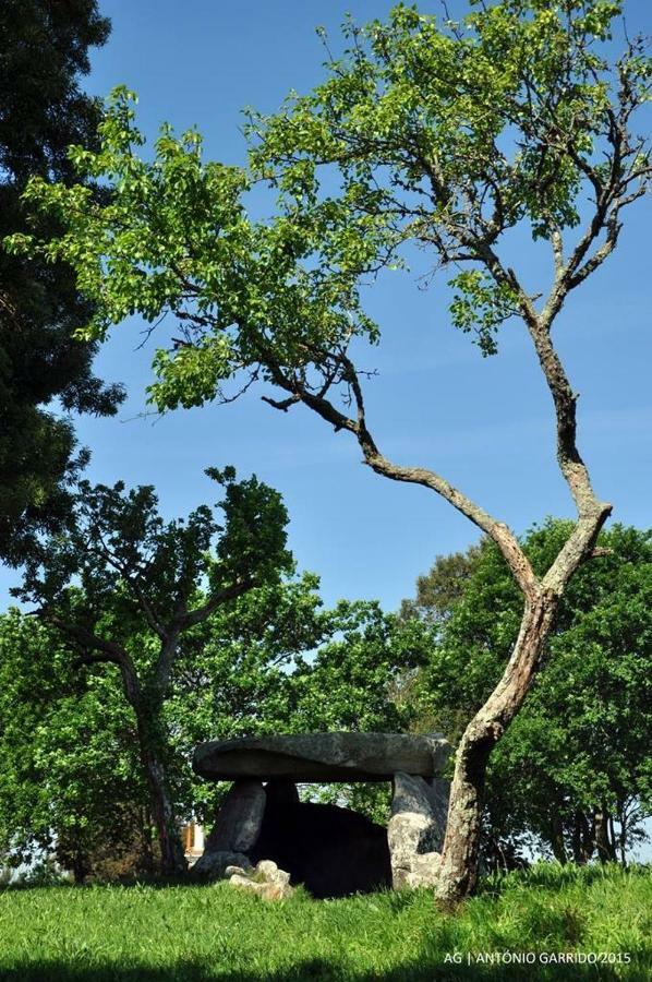 Angelas - Casa Do Coberto Vila Praia de Âncora Zewnętrze zdjęcie